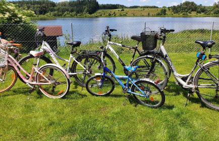 Lake House Podwilczyn with sauna, beach, amazing view, forests and bikes - Foto 25