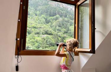 CALMFRANC ático abuhardillado con vistas al río y la montaña Avistamiento de ciervos en Canfranc Pueblo - Foto 29