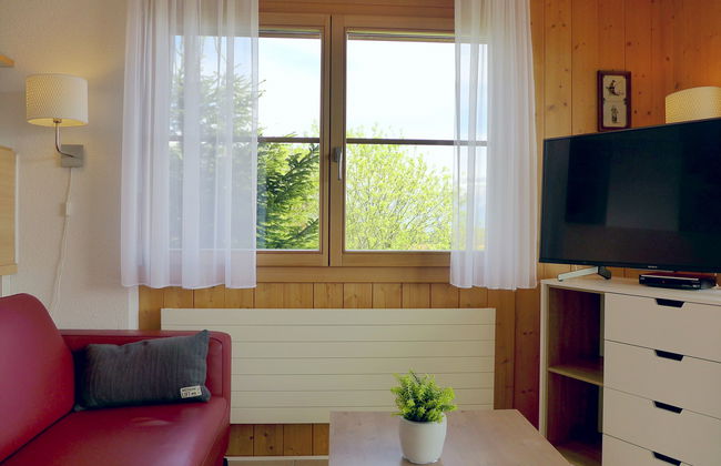 Mountain Lake Panorama - Foto 15