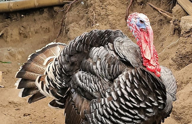 Casa Tien - Photo 80