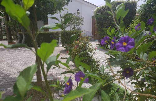 Marketos Apartments - Foto 22