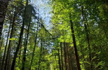 Gîte Les Tongs des Près, au cœur du Parc Normandie Maine - Foto 22