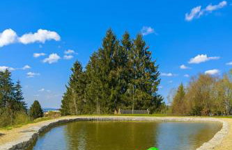 Cozy Apartment Bayerischer Wald, Ruhe, Kamin & Parkplatz - Foto 25