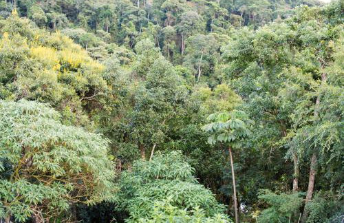 Suíte privada no meio da natureza serrana. - Photo 11