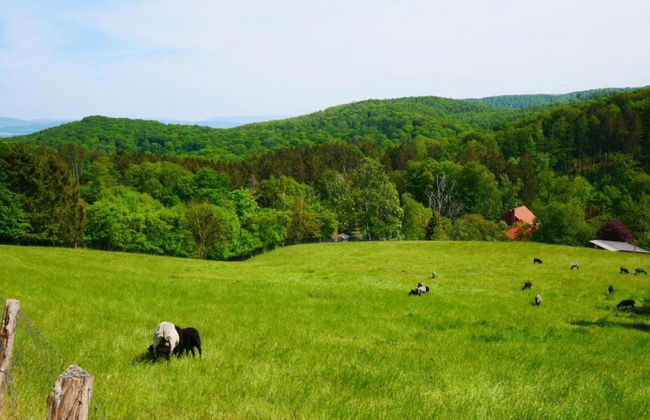 Relaxa at a Luxurious Villa in Bad Pyrmont - Foto 80