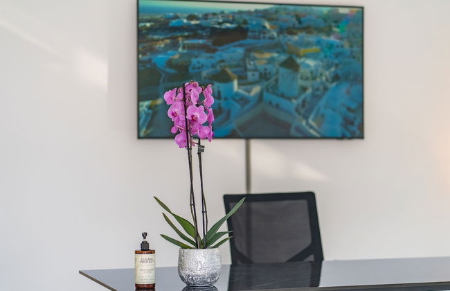 The Palmiers - Foto 3