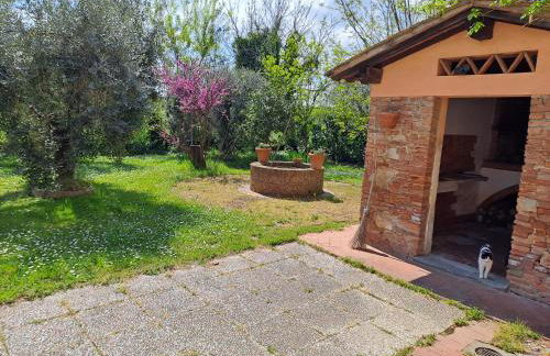 Agriturismo Podere Travalda - Foto 2