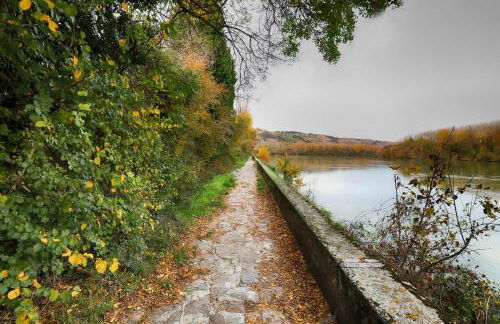 Condrieu et parking voiture vélo 2 ème étage - Foto 31