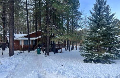 The Bluejay Cabin at Munds Park, AZ! - Foto 69