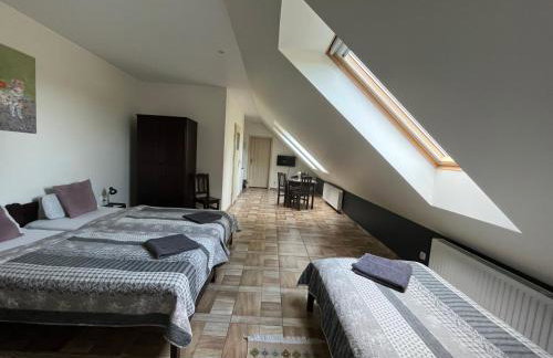 Koci Grzbiet Agroturystyka - Foto 49