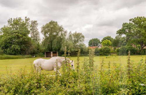 Dog friendly cottage on the edge of the Norfolk Broads - Foto 71