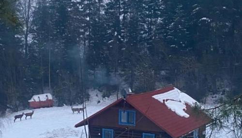 Chata pod lasem - Foto 3