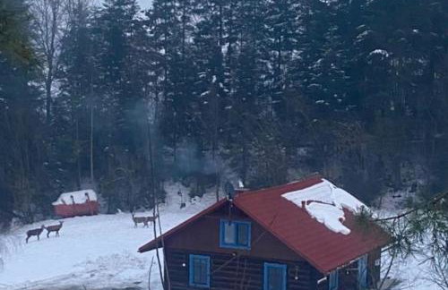Chata pod lasem - Foto 3