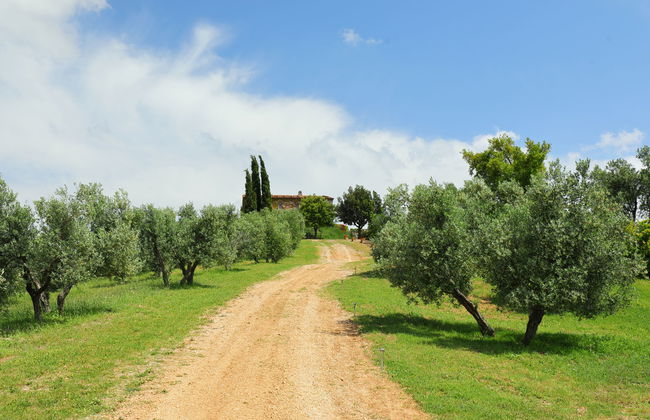 Casa dell'Orto - Photo 24