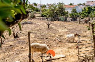 #178 Monte das Churras 1 by Home Holidays - Foto 44