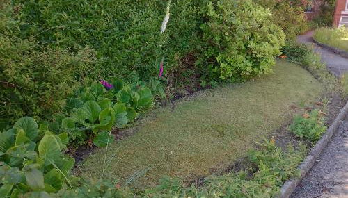 St Annes Lodge Garden Flat AWARD WINNING HOSTS - Foto 5, Garden