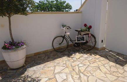 Stella Dei Campi - Foto 8