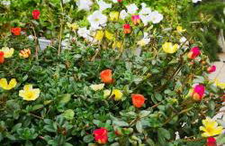 L'Empire D'Essences Appartement - Foto 34