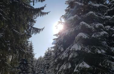 Ferienwohnung Paula - Foto 29