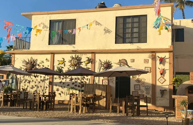 Day Trip to Todos Santos - Photo 2