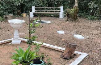 Bosque na Montanha Encantada - Foto 67