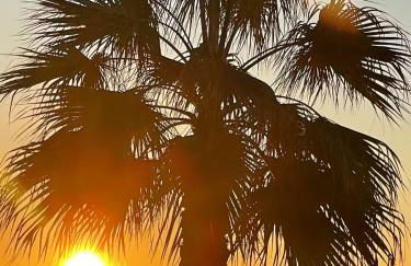 Torre sol Penthouse - jacuzzi - AC - garage - pool - Foto 35