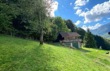 Chalet la Cabane d'Ernestine, petit-déjeuner inclus - Foto 18