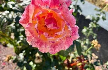 Madeira Protea Retreat- Villa with Heated Private Pool, Gym and Office - Foto 40