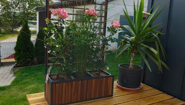 Mariolas Tinyhouse - Foto 4