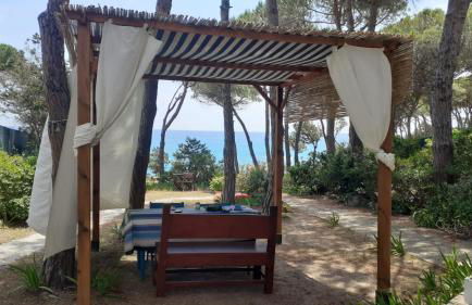 lamarzellina - Foto 8