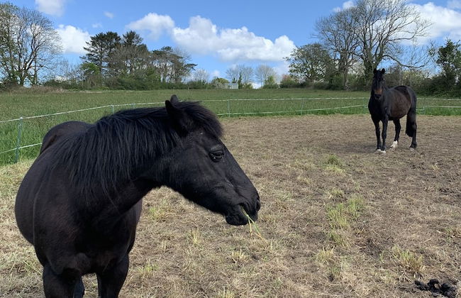 Hillcrest Hut - Foto 11