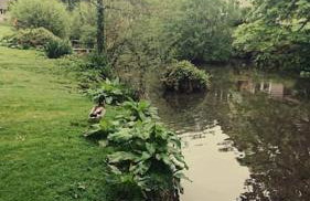 Bungalow 62,North Cornwall, St. Tudy - Foto 10