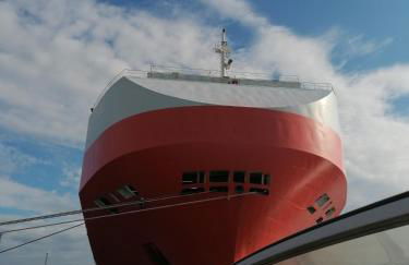 Ferienhaus Marie an der Weser - Foto 20