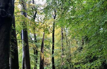 The Architect's Mews - Foto 17