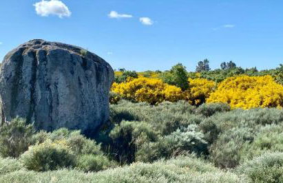 Villa Tauria- Casa de campo em aldeia medieval - Foto 44