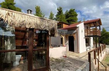 Το σπίτι στο δάσος - Foto 23