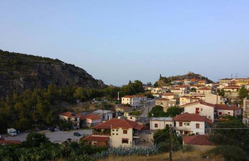 Village View - Photo 25