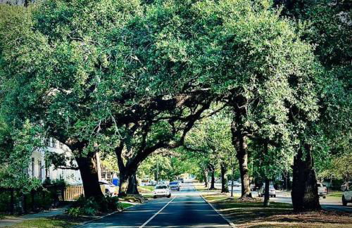 Redstick Cottage - Foto 23