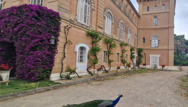 Welcome to Parc Samá