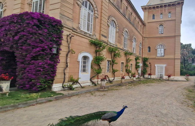 Parc Samá Self-Guided Day Trip - Photo 2