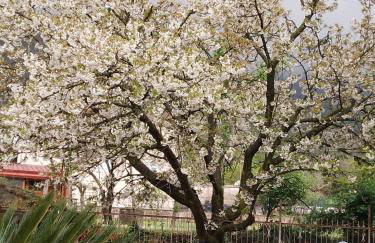 Terrazza di Elsa - Foto 31