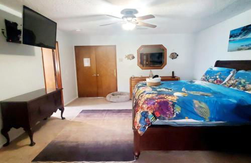 Star Gazer's Paradise - Foto 12