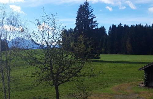 Rustico di Angelo - Foto 7