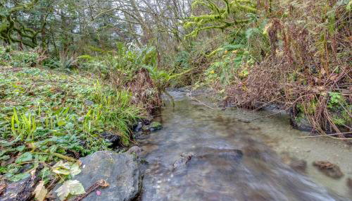 Peaceful Creekside - Foto 3