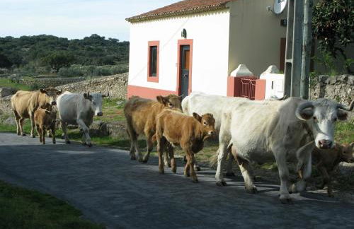 Casas da Estação, Country Houses - Foto 26