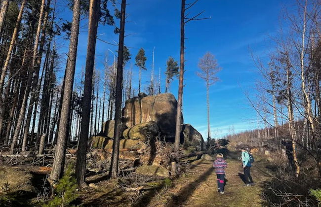 Classic Holiday Home in Harz near Braunlage Ski Area - Foto 29