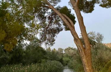 Apartamento Mirador del Seg - Foto 29