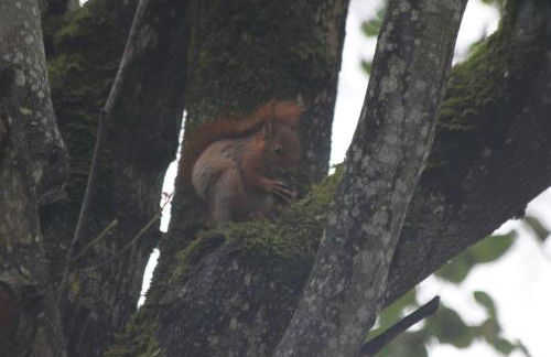 Grande maison en pierre de taille avec piscine, sauna et jacuzzi - Foto 51