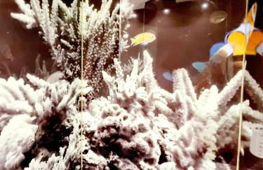 Apartamentos El Arrecife - Foto 78