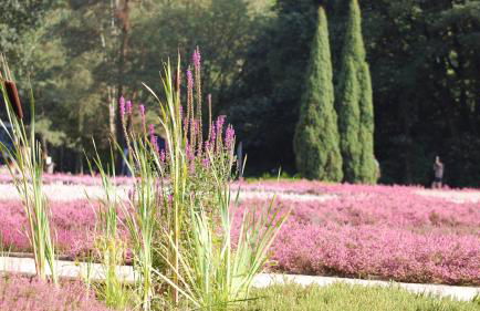 Heide Apartments - Foto 29